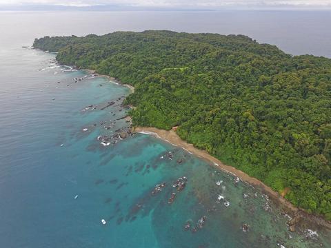 Caño Island Snorkeling